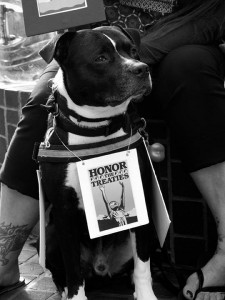 No DAPL rally and march in Los Angeles - dog protester